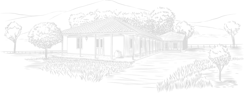 paisaje